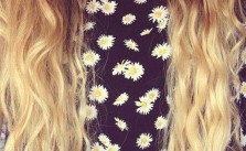 Ombre & Daisies