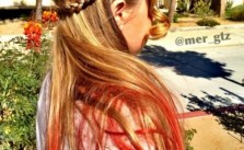 Braid & Red Tips