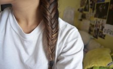 Braid with Highlights
