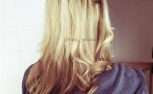 Blonde Brown Braid & Curls